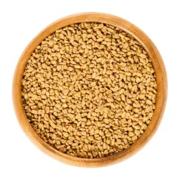 Fenugreek
